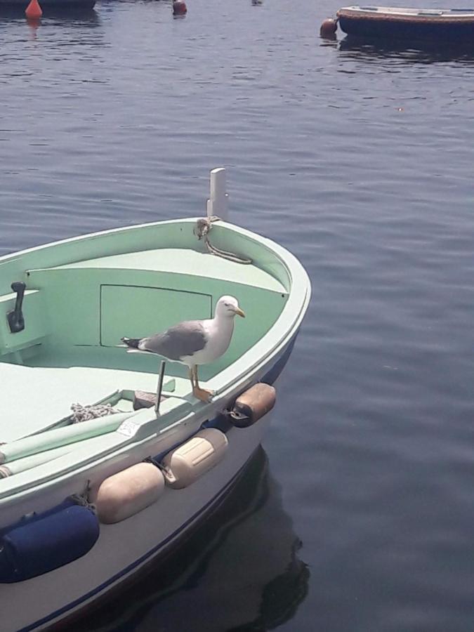 Apartament La Casa Di Titina Procida Zewnętrze zdjęcie