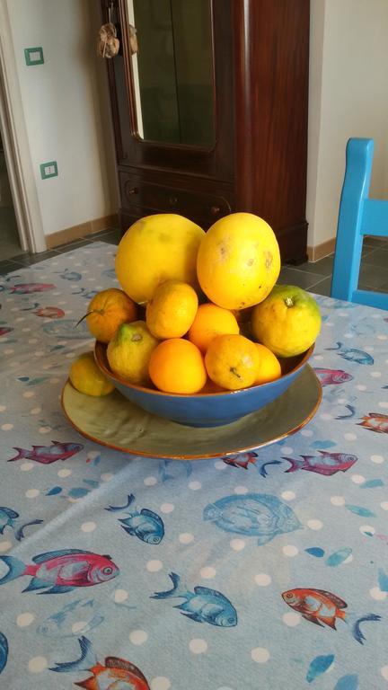 Apartament La Casa Di Titina Procida Zewnętrze zdjęcie